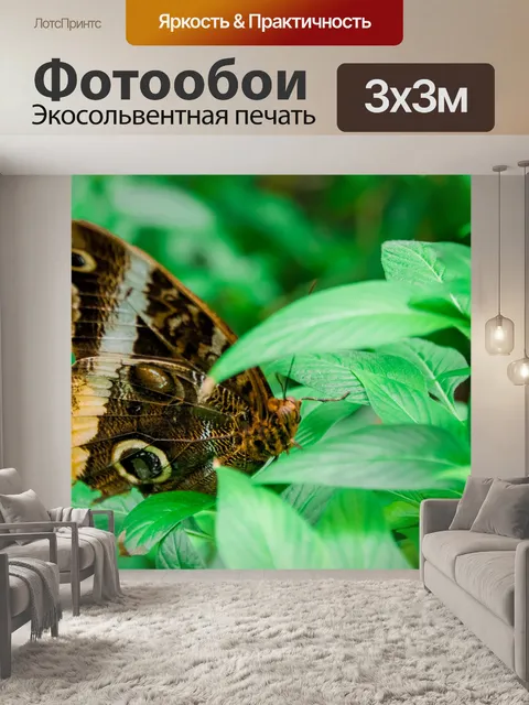 Фотообои Бабочка