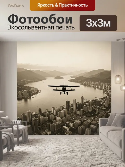 Фотообои Самолёт над городом и водой