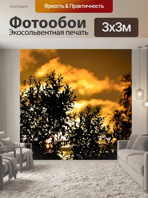 Фотообои Солнце