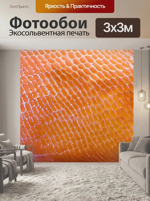 Фотообои микроскопическое изображение чешуи рыбы