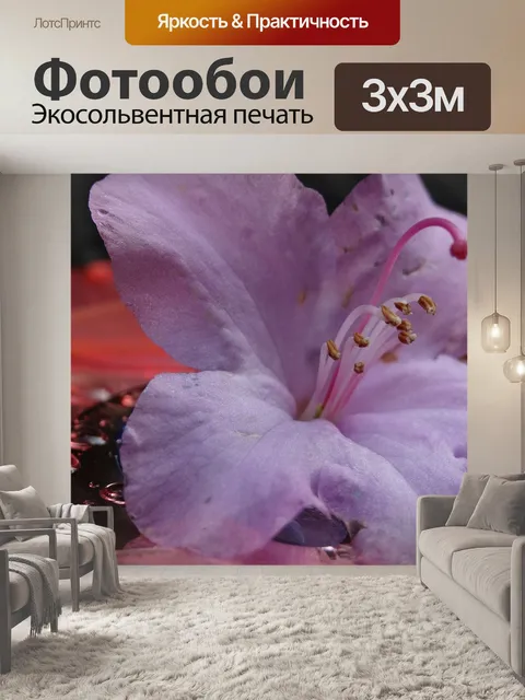 Фотообои Компакт диск