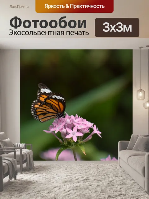 Фотообои Бабочка