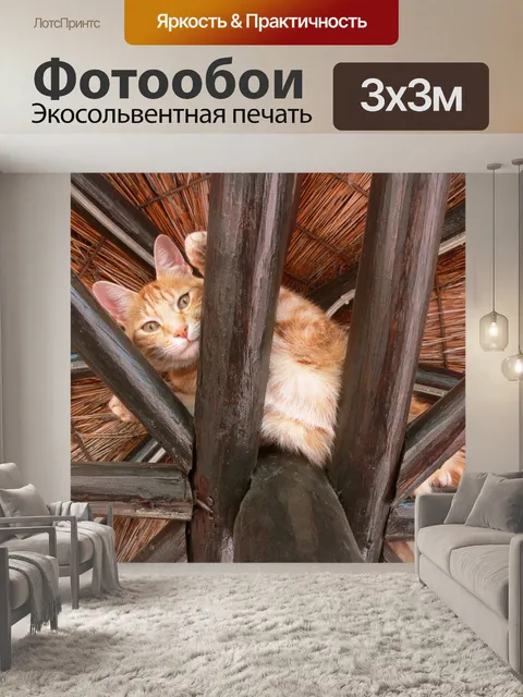 Фотообои Рыжий кот в стропил 1