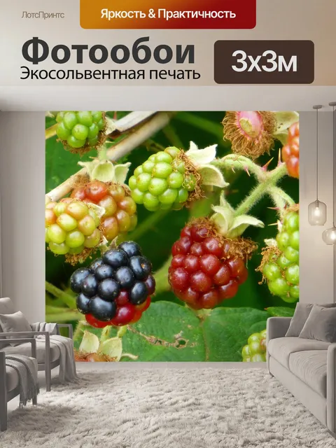 Фотообои Ежевика
