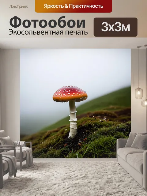 Фотообои мухомор на травянистом склоне холма, на фоне туманного утра, с каплями росы на шляпке