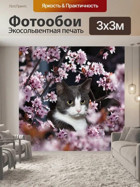 Фотообои Кот