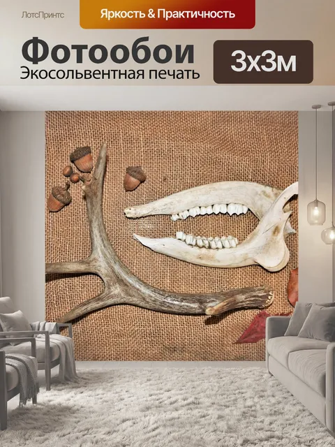 Фотообои Рога оленя и кости челюсти
