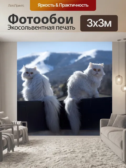Фотообои Кот