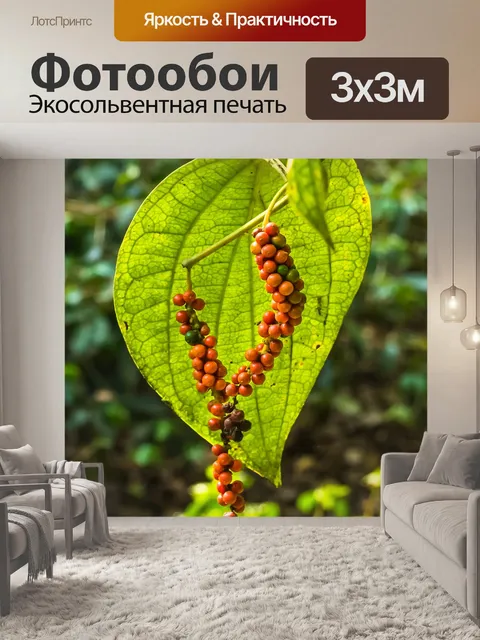 Фотообои Лист