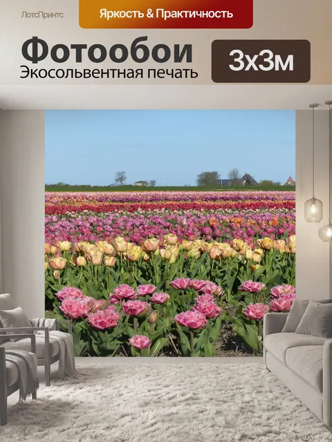 Фотообои Цвета