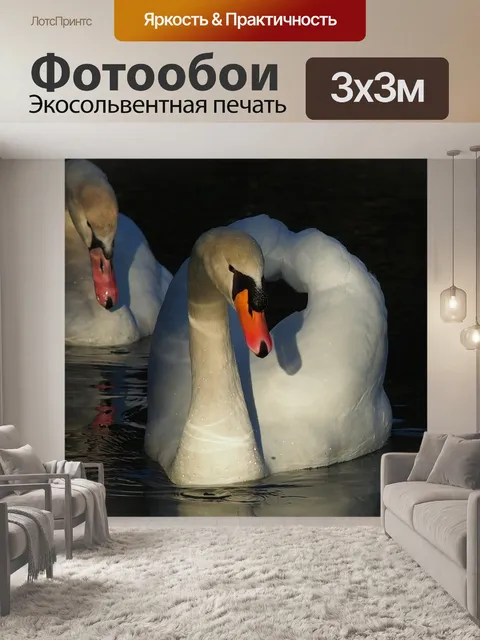 Фотообои Лебеди