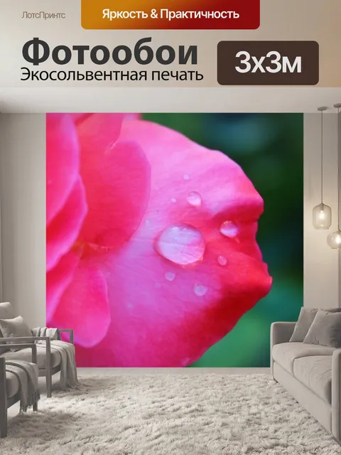 Фотообои Роза Розовая Мокрый Подробнее
