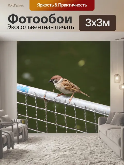 Фотообои Воробей