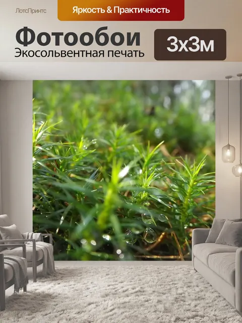 Фотообои Роса