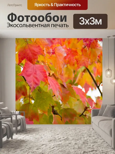 Фотообои осень