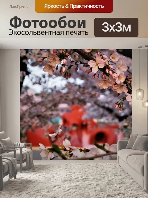 Фотообои Оборудование спортивной площадки