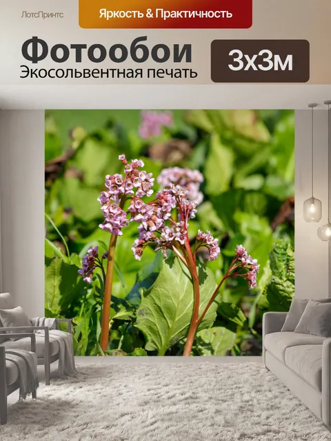 Фотообои Весенние цветы