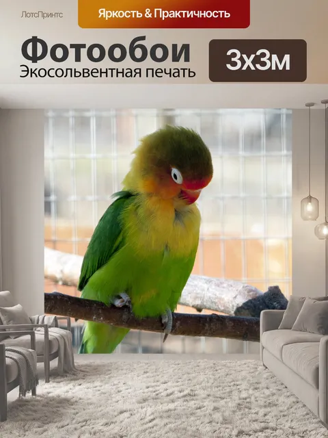 Фотообои Птица Уход Перья