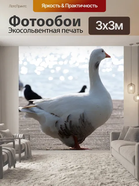 Фотообои Птица