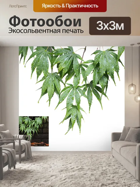 Фотообои Клен