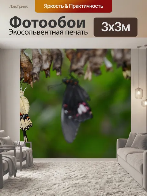 Фотообои Парусники бабочки
