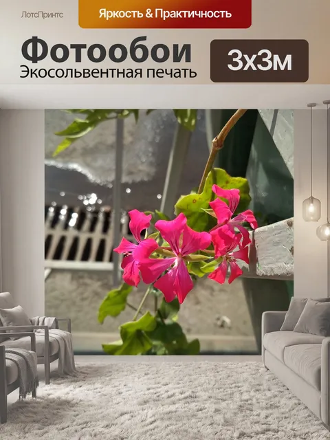 Фотообои Цветы