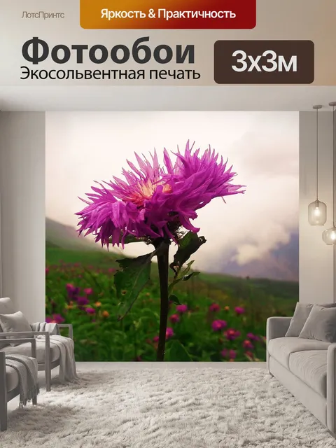 Фотообои Цветы