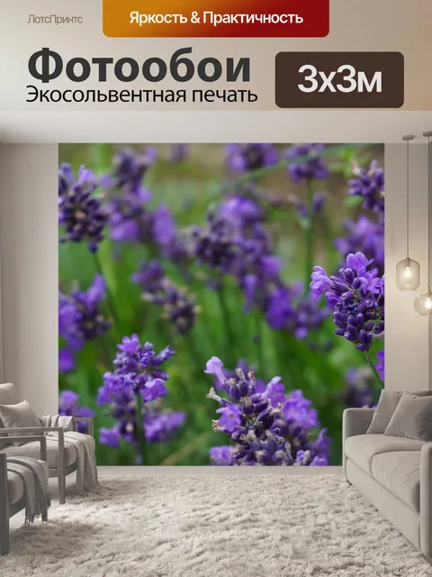 Фотообои Лаванда