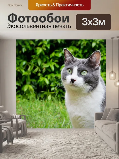 Фотообои Милый