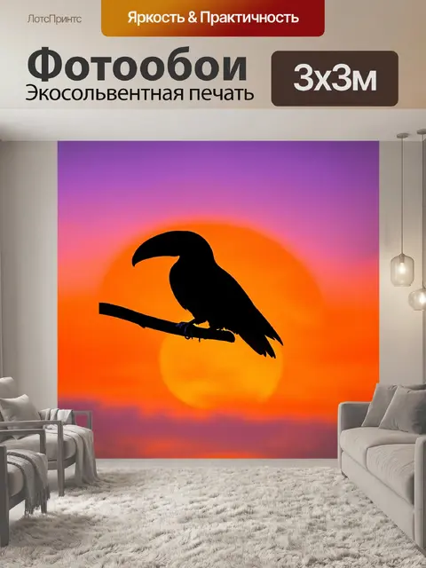 Фотообои тукан на фоне заката