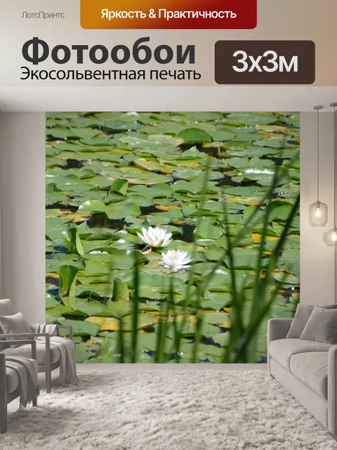 Фотообои Лилии