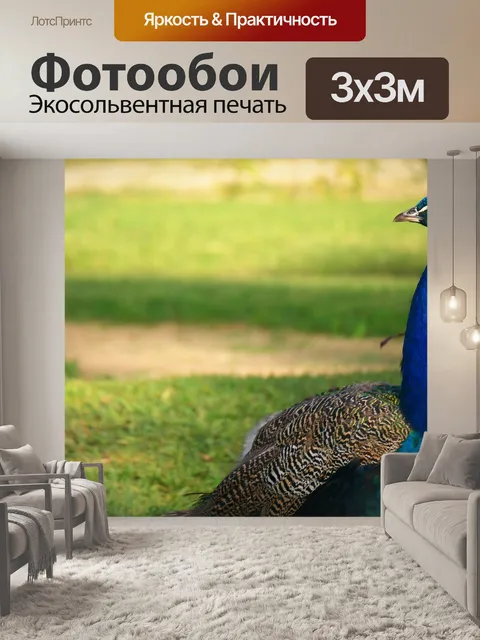 Фотообои Птицы