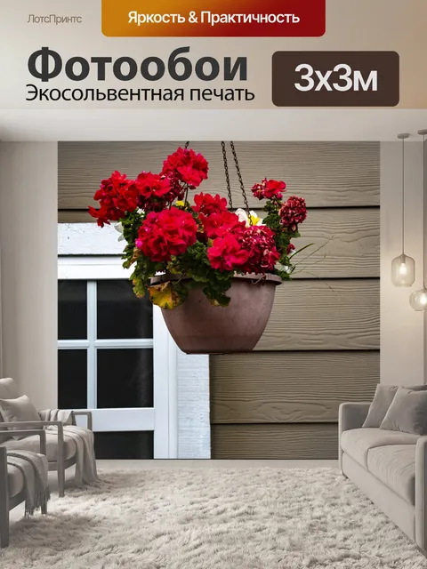 Фотообои Красные герани и окно
