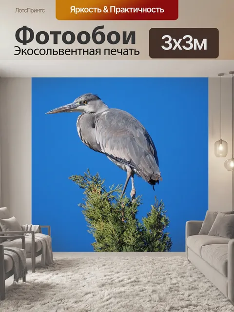 Фотообои Природа