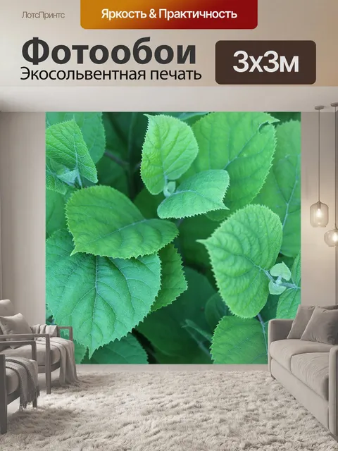 Фотообои Листья