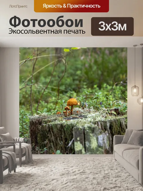 Фотообои Пень