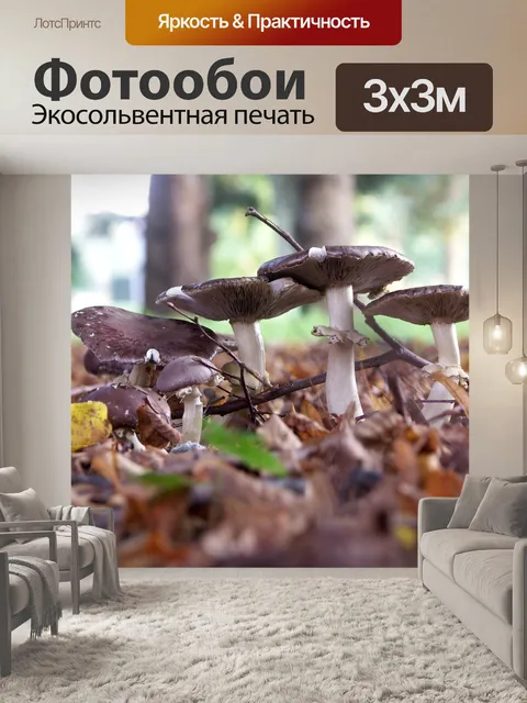 Фотообои Пейзаж