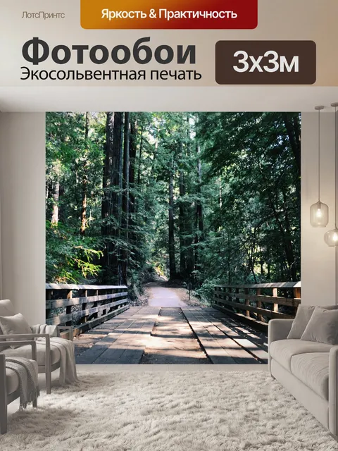 Фотообои Лес