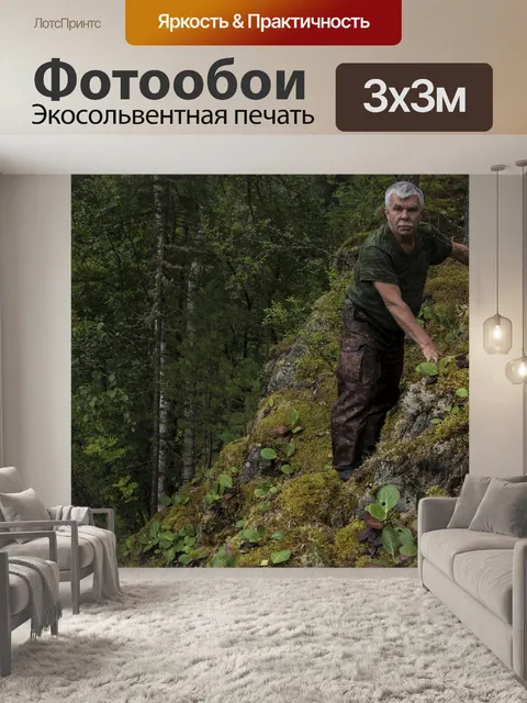 Фотообои Лес