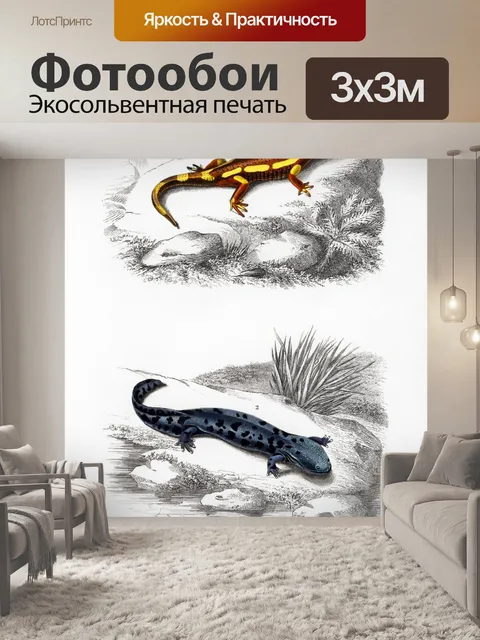 Фотообои Тритон саламандра винтажное искусство