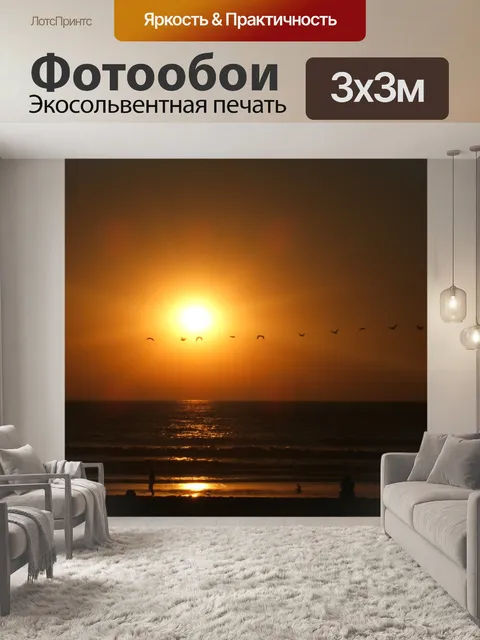 Фотообои Птицы через закат Сан-Диего