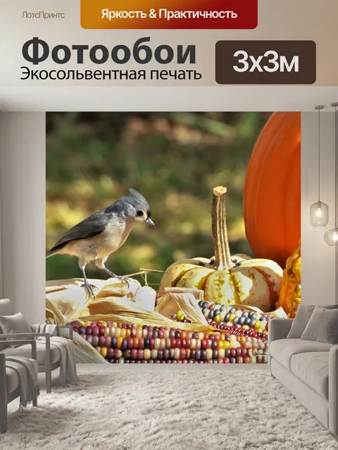 Фотообои Туфтовая синица на индийской кукурузе
