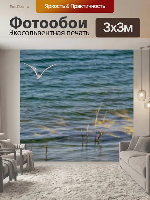Фотообои Обыкновенная крачка птица в полете