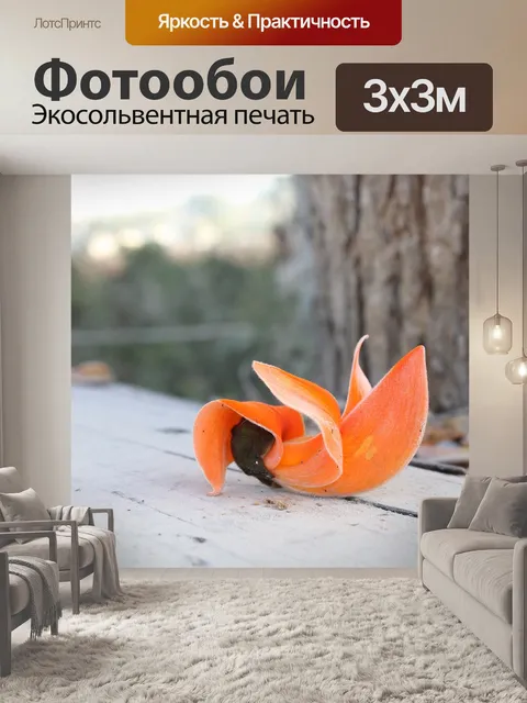 Фотообои Цветок