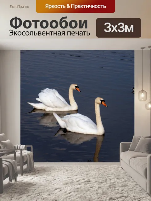 Фотообои Лебеди