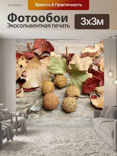 Фотообои Sycamore Семенные шары и листья