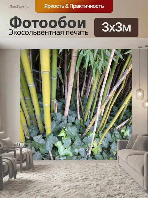 Фотообои Бамбук, соломенная растительность 03