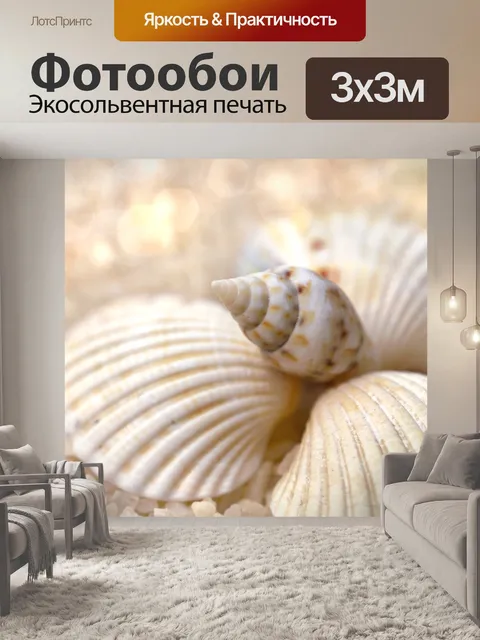 Фотообои Морская ракушка улитка пляж море
