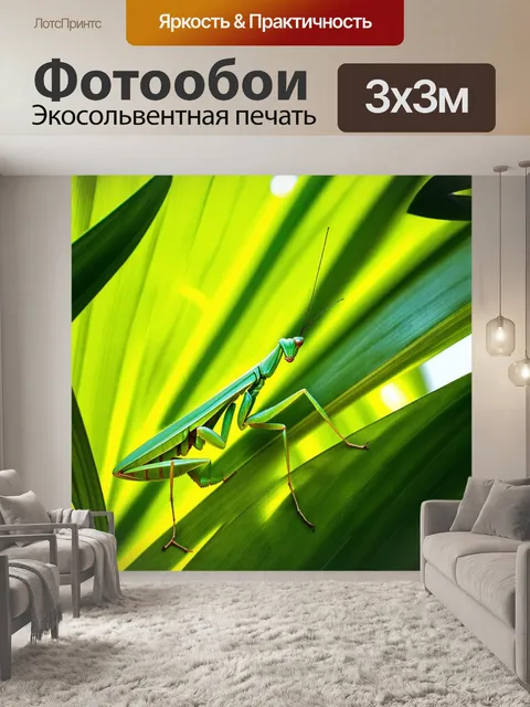Фотообои изображение крупным планом зеленого богомола