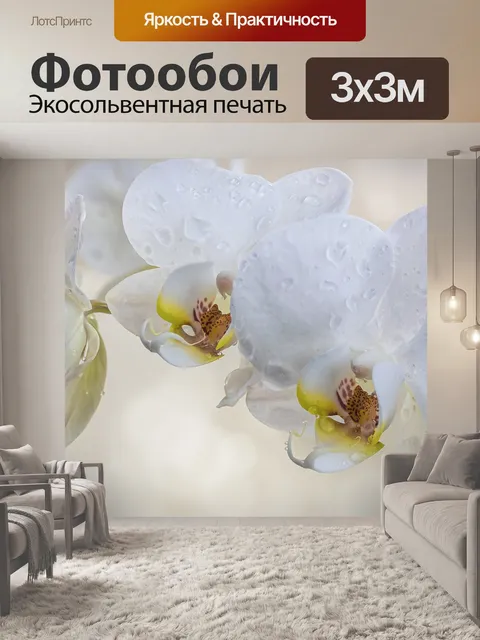 Фотообои Орхидеи